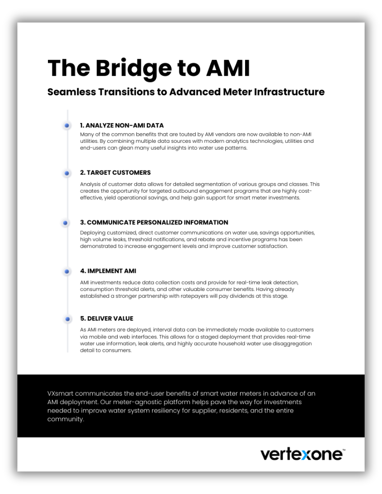 Navigating the Bridge to AMI