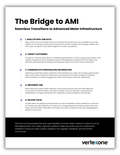 The Bridge to AMI Fact Sheet, VertexOne