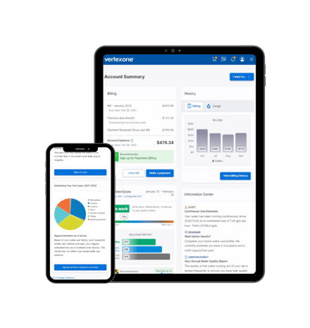 Securing a Seamless Transition for  Staff and an Improved Customer Experience in Bullhead City, Case Study - VertexOne-2