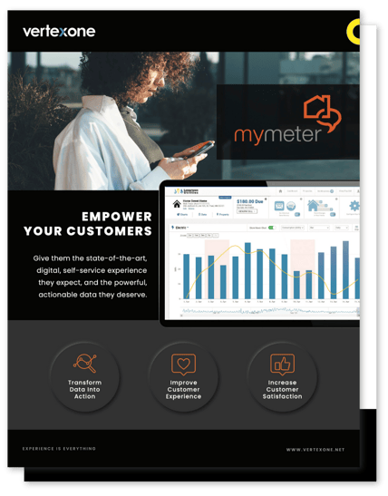 Thumbnail, Empower Your Customers with MyMeter A Smart Digital Experience-1