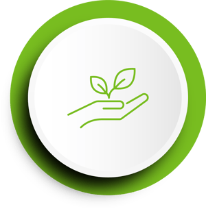 Saas Suport, Functional Icon