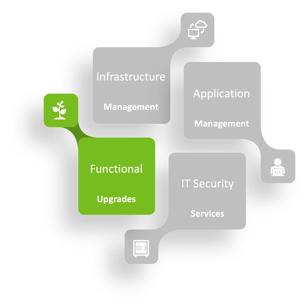 Saas Suport, Functional