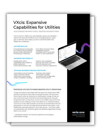 VXcis Expansive Capabilities for Utilities