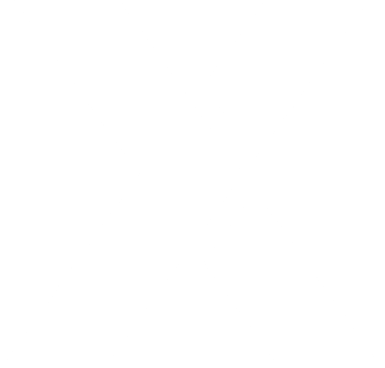 VertexOne-transparent-logomark-white